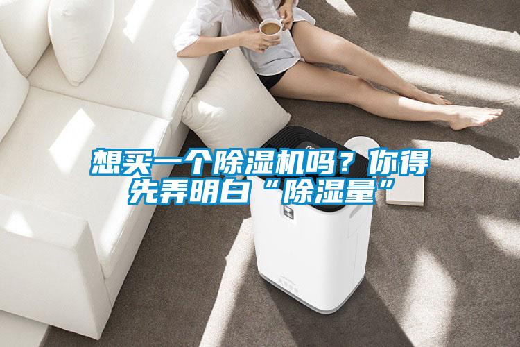 想買一個除濕機嗎？你得先弄明白“除濕量”