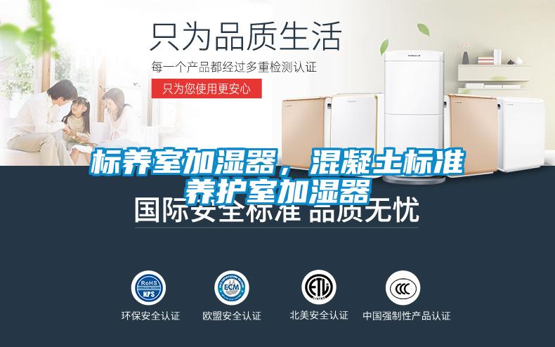 標養(yǎng)室加濕器，混凝土標準養(yǎng)護室加濕器