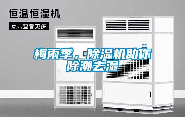 梅雨季，除濕機(jī)助你除潮去濕