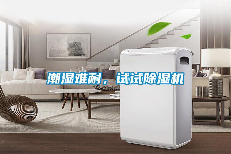 潮濕難耐，試試除濕機(jī)