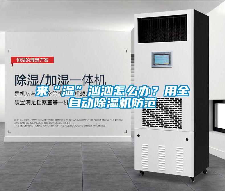 來“濕”洶洶怎么辦？用全自動除濕機(jī)防范