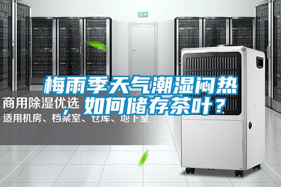 梅雨季天氣潮濕悶熱，如何儲(chǔ)存茶葉？