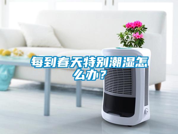 每到春天特別潮濕怎么辦？