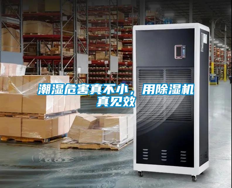 潮濕危害真不小，用除濕機真見效