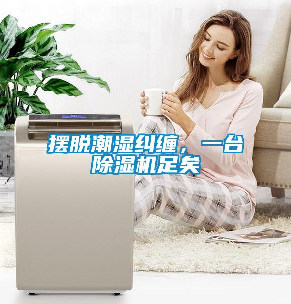 擺脫潮濕糾纏，一臺(tái)除濕機(jī)足矣