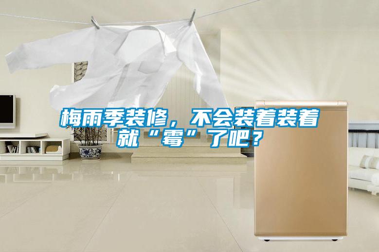 梅雨季裝修，不會裝著裝著就“霉”了吧？