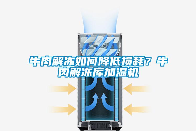 牛肉解凍如何降低損耗？牛肉解凍庫加濕機(jī)