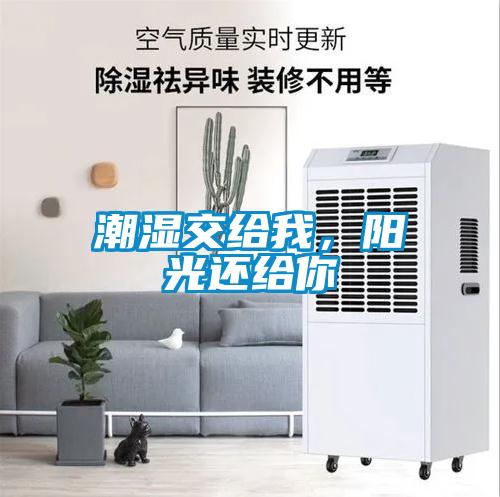 潮濕交給我，陽(yáng)光還給你