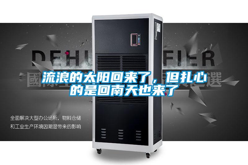 流浪的太陽回來了，但扎心的是回南天也來了