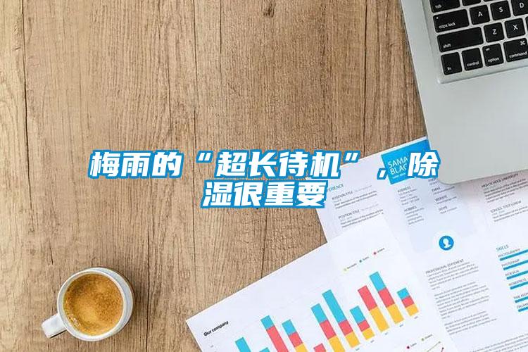 梅雨的“超長待機”，除濕很重要