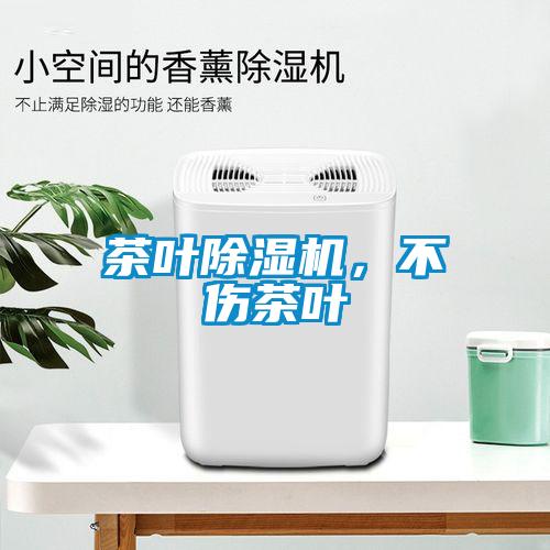 茶葉除濕機(jī)，不傷茶葉