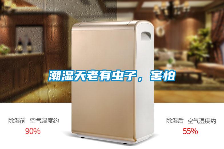 潮濕天老有蟲子，害怕