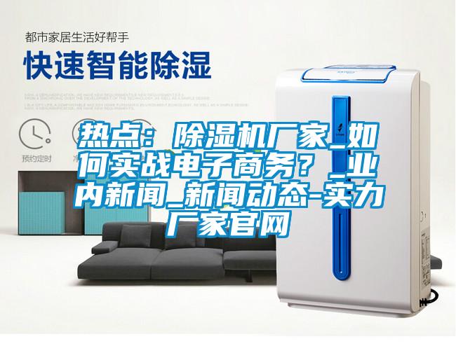 熱點：除濕機廠家_如何實戰(zhàn)電子商務？_業(yè)內(nèi)新聞_新聞動態(tài)-實力廠家官網(wǎng)
