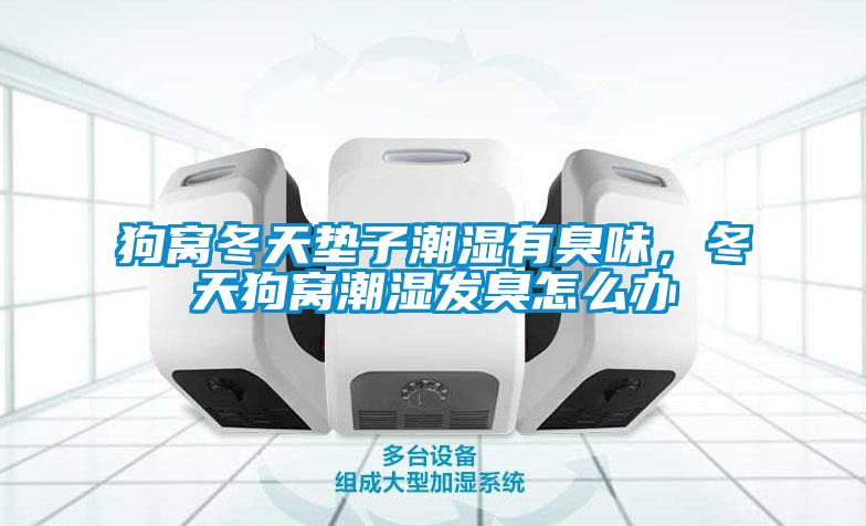 狗窩冬天墊子潮濕有臭味，冬天狗窩潮濕發(fā)臭怎么辦