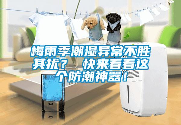 梅雨季潮濕異常不勝其擾？ 快來看看這個防潮神器！