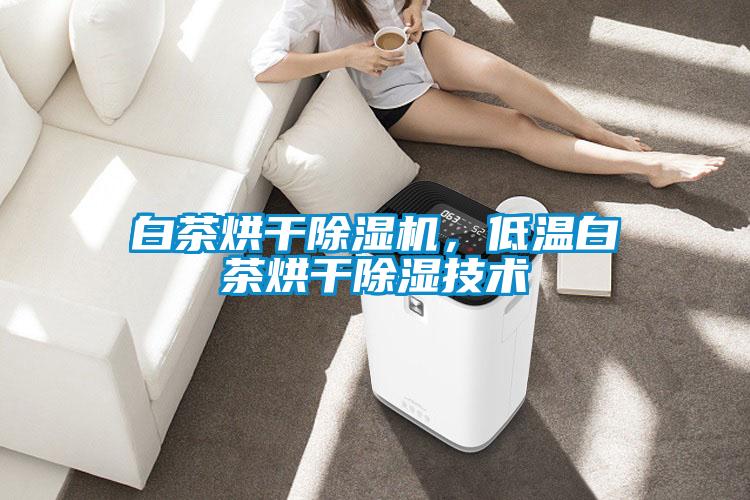 白茶烘干除濕機(jī)，低溫白茶烘干除濕技術(shù)