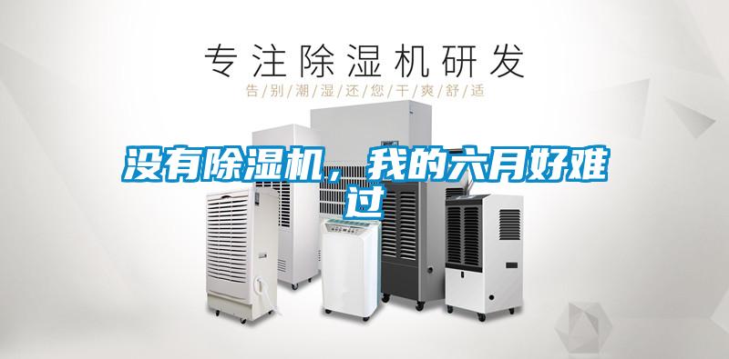 沒(méi)有除濕機(jī)，我的六月好難過(guò)