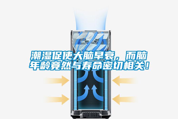 潮濕促使大腦早衰，而腦年齡竟然與壽命密切相關(guān)！