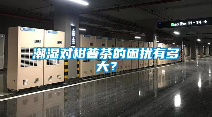 潮濕對(duì)柑普茶的困擾有多大？