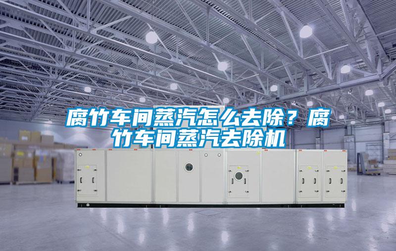 腐竹車間蒸汽怎么去除？腐竹車間蒸汽去除機(jī)