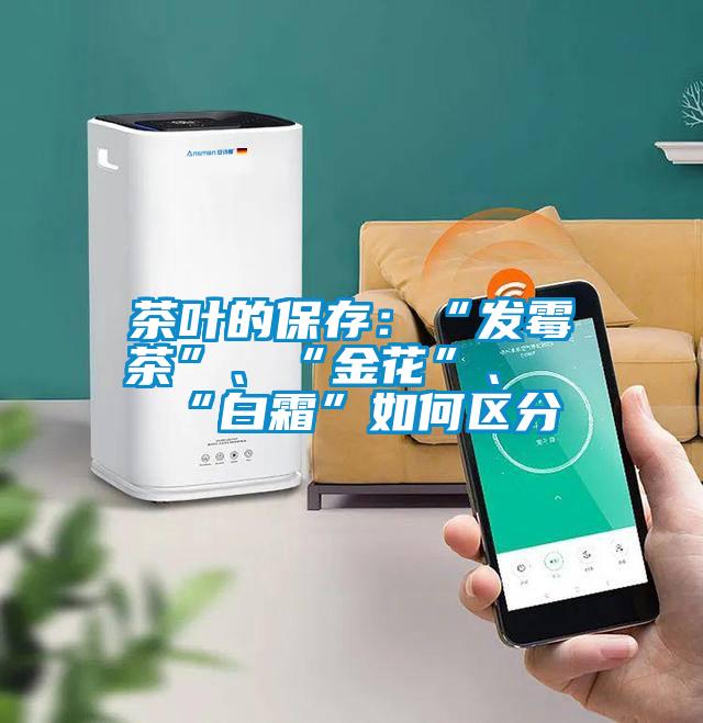 茶葉的保存：“發(fā)霉茶”、“金花”、“白霜”如何區(qū)分
