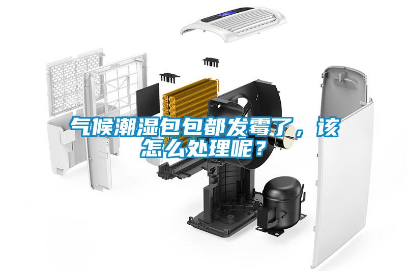 氣候潮濕包包都發(fā)霉了，該怎么處理呢？