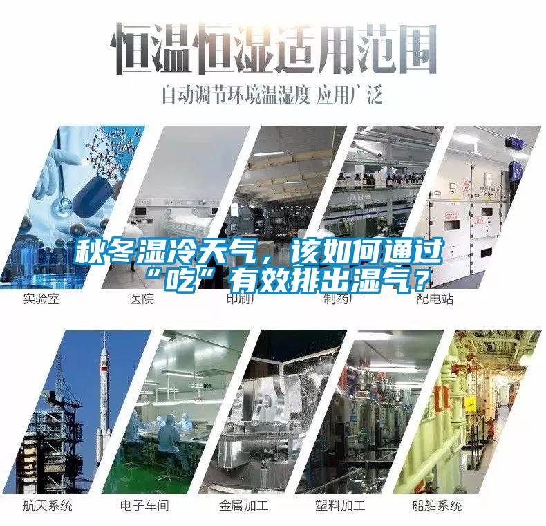 秋冬濕冷天氣，該如何通過“吃”有效排出濕氣？