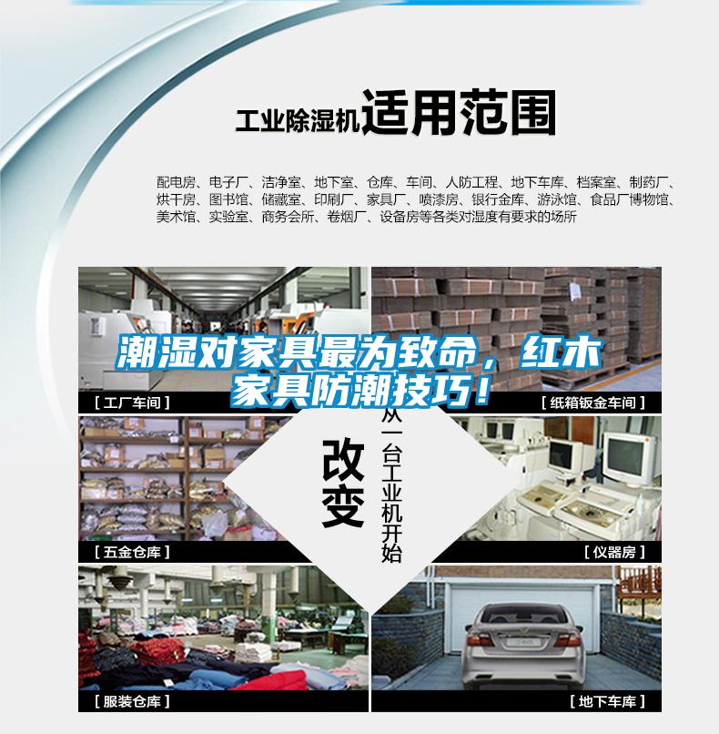 潮濕對家具最為致命，紅木家具防潮技巧！