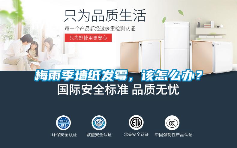 梅雨季墻紙發(fā)霉，該怎么辦？
