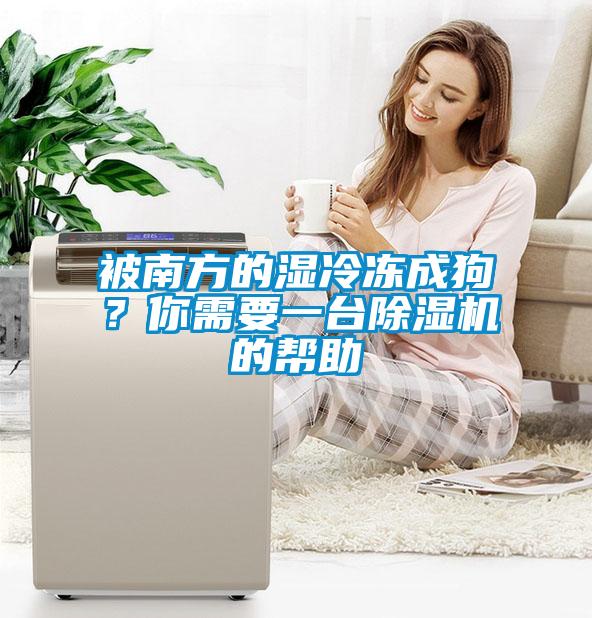 被南方的濕冷凍成狗？你需要一臺(tái)除濕機(jī)的幫助