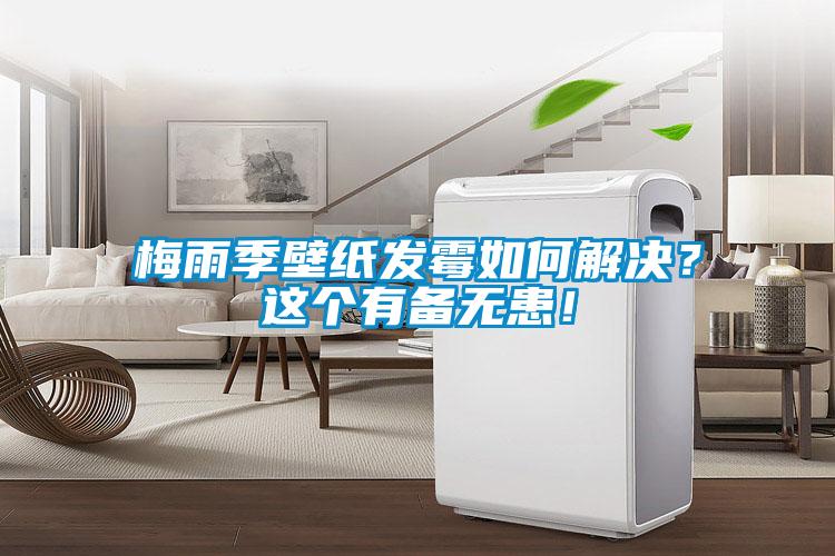 梅雨季壁紙發(fā)霉如何解決？這個有備無患！