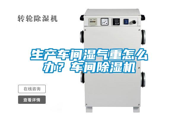 生產(chǎn)車間濕氣重怎么辦？車間除濕機(jī)