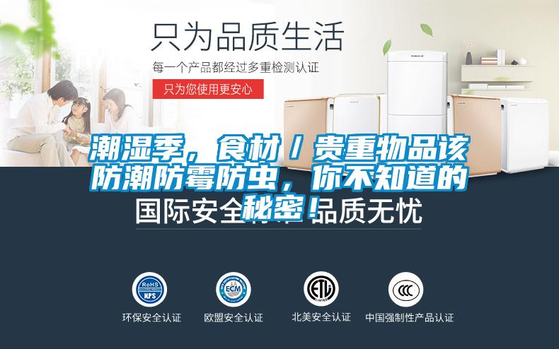潮濕季，食材／貴重物品該防潮防霉防蟲，你不知道的秘密！