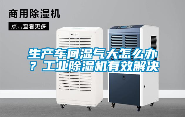 生產(chǎn)車間濕氣大怎么辦？工業(yè)除濕機(jī)有效解決