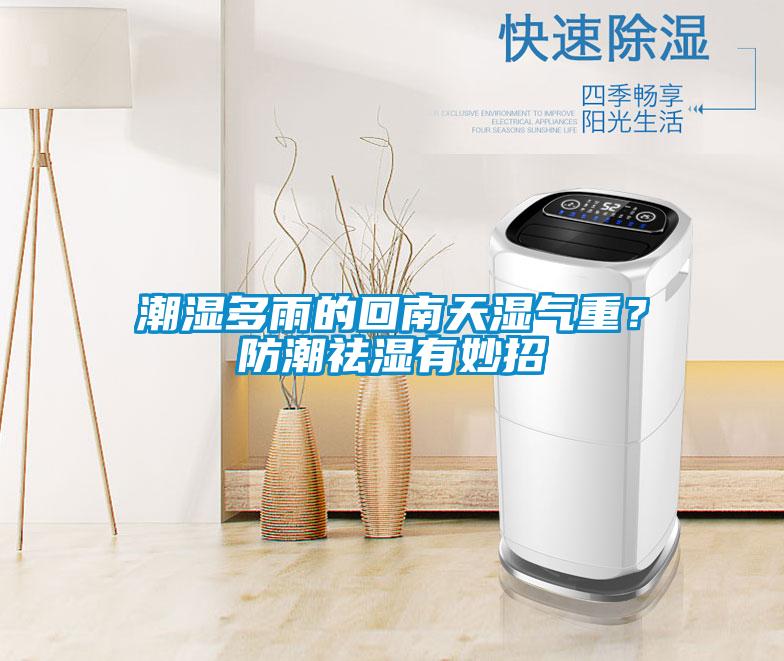 潮濕多雨的回南天濕氣重？防潮祛濕有妙招