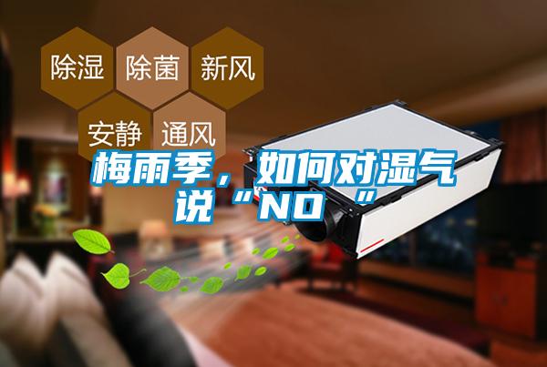 梅雨季，如何對(duì)濕氣說“NO ”