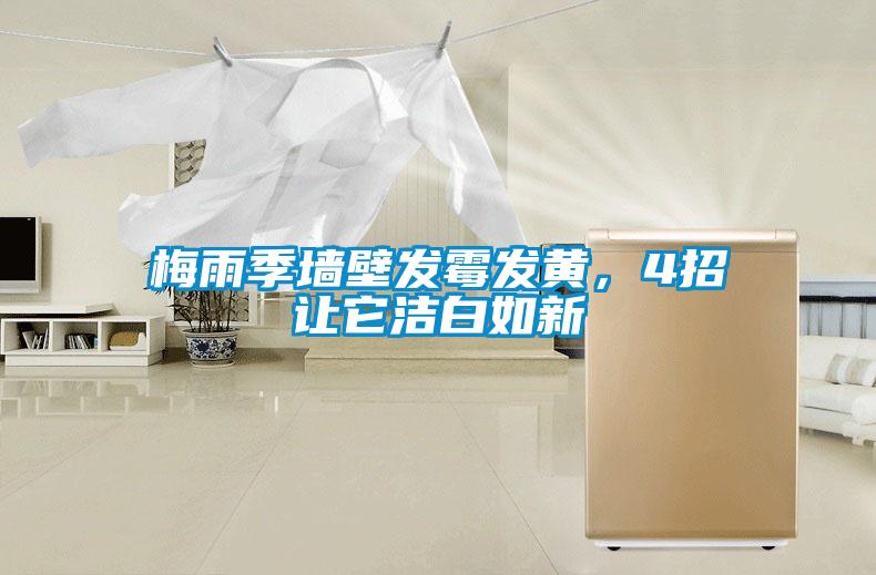 梅雨季墻壁發(fā)霉發(fā)黃，4招讓它潔白如新