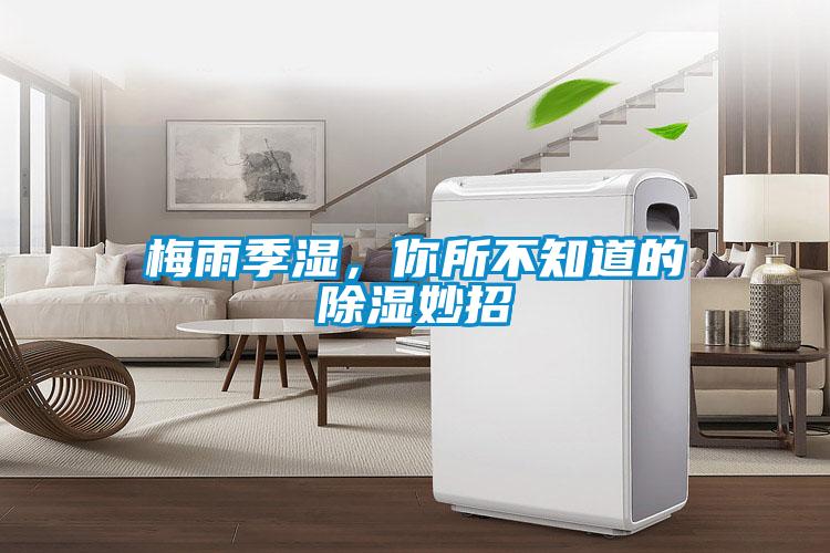 梅雨季濕，你所不知道的除濕妙招