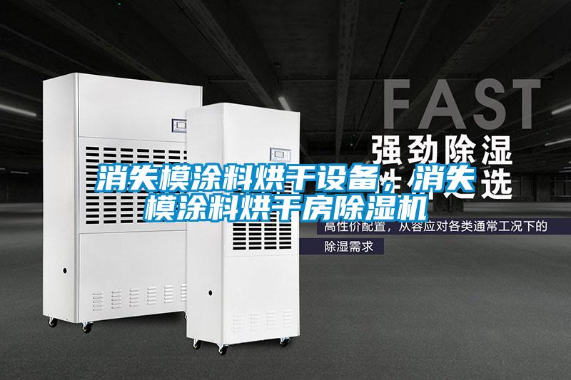 消失模涂料烘干設(shè)備，消失模涂料烘干房除濕機(jī)