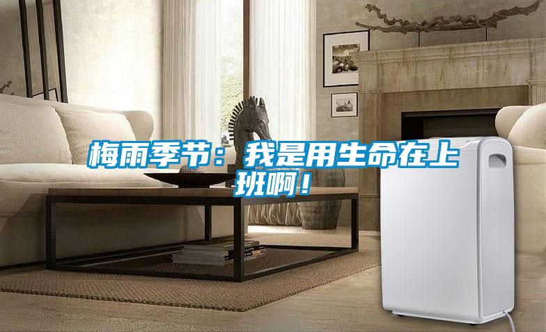 梅雨季節(jié)：我是用生命在上班?。?/></p>
						    <p style=