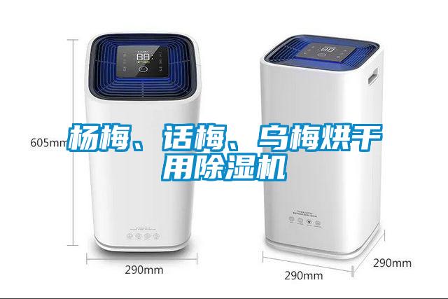 楊梅、話梅、烏梅烘干用除濕機(jī)