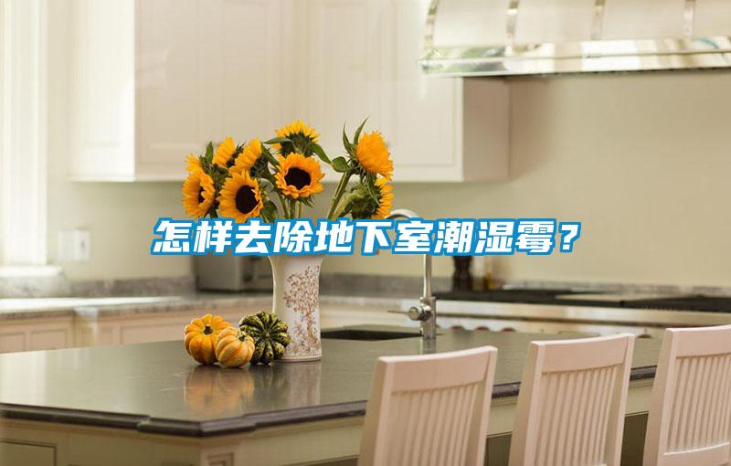 怎樣去除地下室潮濕霉？