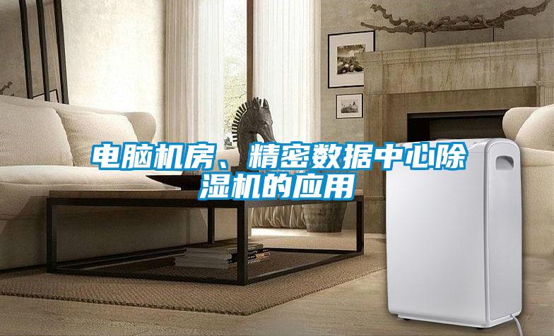 電腦機(jī)房、精密數(shù)據(jù)中心除濕機(jī)的應(yīng)用
