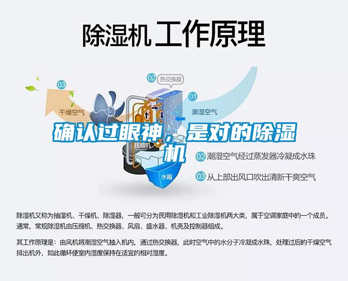 確認過眼神，是對的除濕機