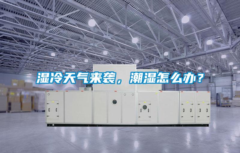 濕冷天氣來襲，潮濕怎么辦？