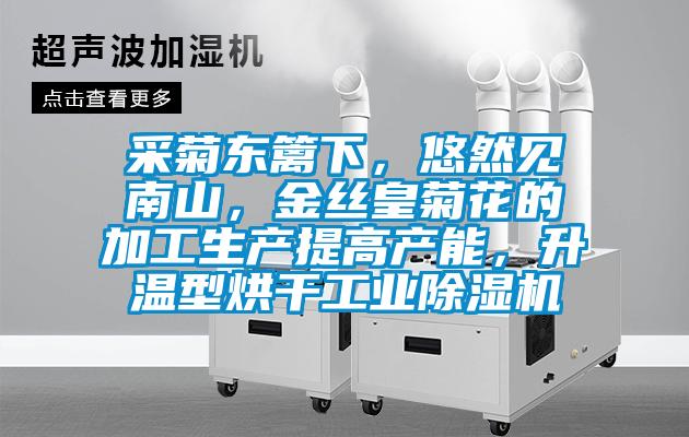 采菊東籬下，悠然見南山，金絲皇菊花的加工生產(chǎn)提高產(chǎn)能，升溫型烘干工業(yè)除濕機(jī)