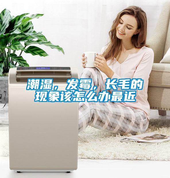 潮濕，發(fā)霉，長(zhǎng)毛的現(xiàn)象該怎么辦最近