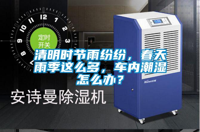 清明時節(jié)雨紛紛，春天雨季這么多，車內(nèi)潮濕怎么辦？