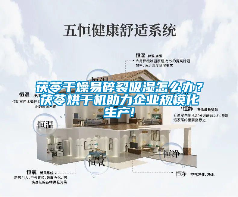 茯苓干燥易碎裂吸濕怎么辦？茯苓烘干機(jī)助力企業(yè)規(guī)?；a(chǎn)!