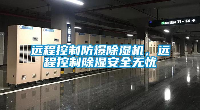遠(yuǎn)程控制防爆除濕機(jī)，遠(yuǎn)程控制除濕安全無憂